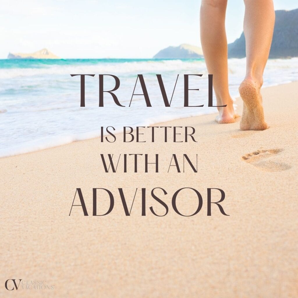 travel advisor description