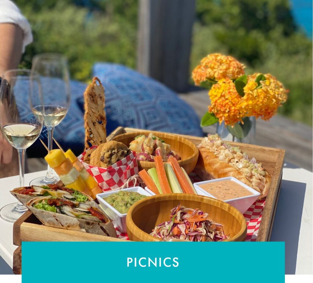 Picnics at Oil Nut Bay British Virgin Islands - Villa Vacations