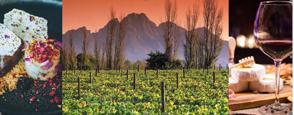 South Africa Winelands Honeymoon Vacation