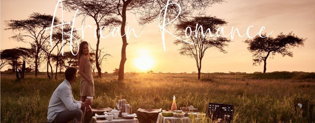 A romantic honeymoon in Africa