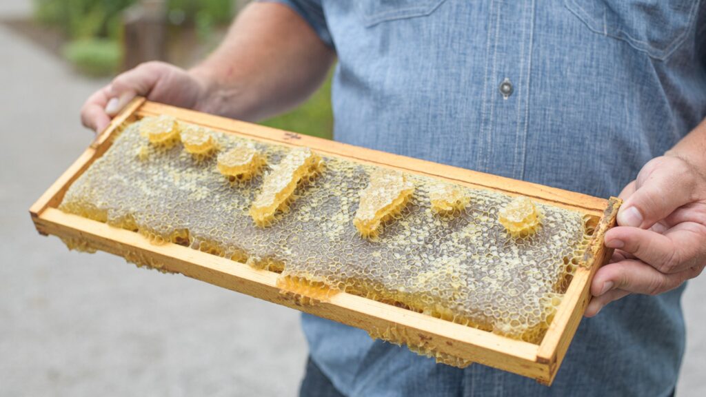 With a deep connection to the soil and changing seasons, Southall celebrates the soul to seed movement. As they continue to expand their working farm, guests can enjoy freshly-made decadent honey, organic produce and freshly laid eggs from the chickens onsite.